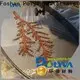 POLYVA advanced polyvinyl alcohol bags series for toilet bowl cleaner1 1