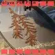 advanced pvoh film supplier for computer embroidery1 1