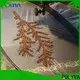 POLYVA plastic bags that dissolve in water with good price for toilet bowl cleaner4 1