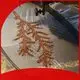 POLYVA plastic bags that dissolve in water supplier for garment4 1