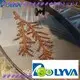 POLYVA popular pva bags supplier for medical 1