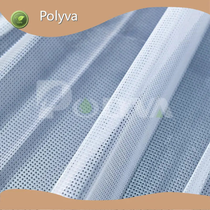 PVA Film for Packaging Machines by POLYVA 1