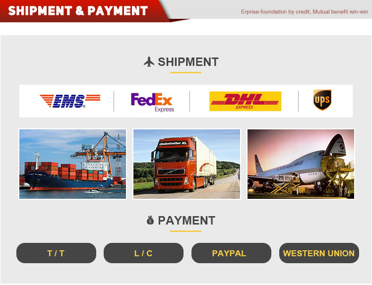 Custom money value counter machine supplier Manufacturer | HUAEN 12