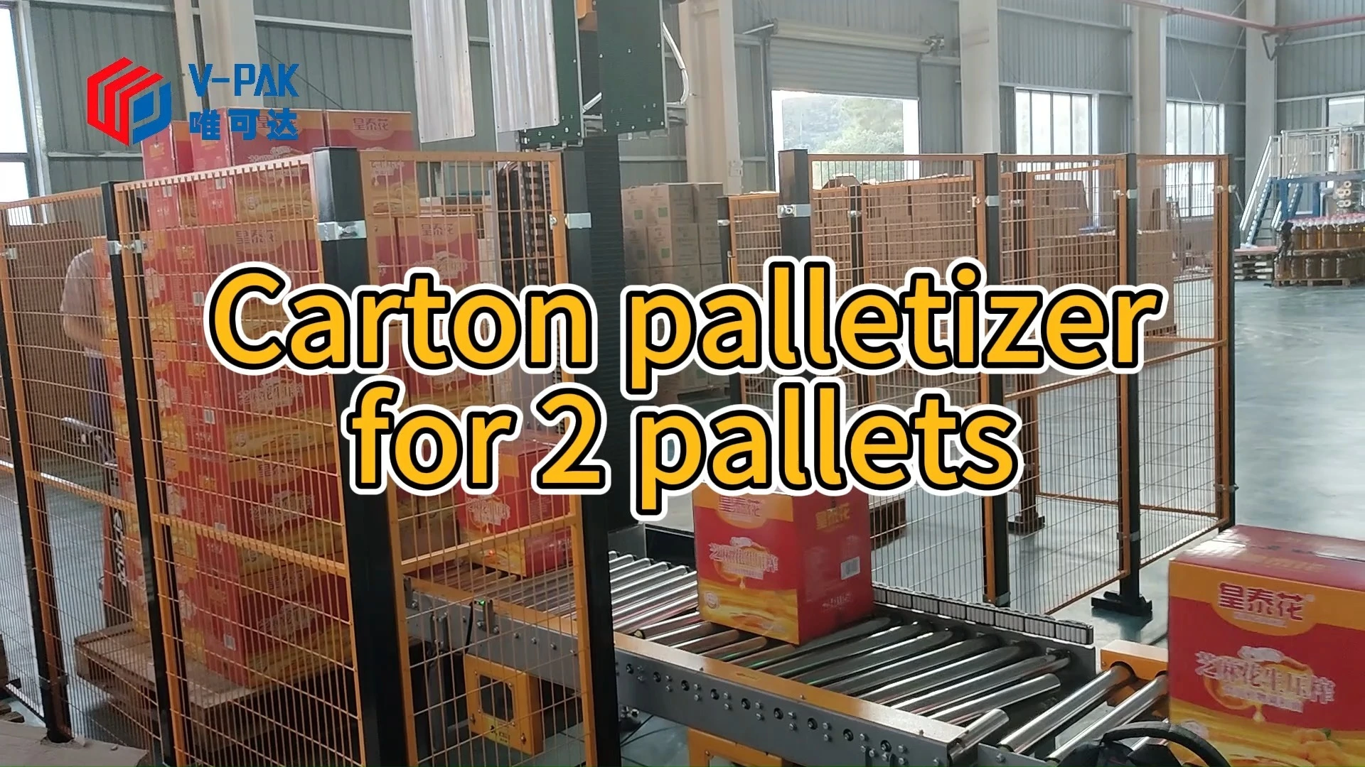 Column Palletizer for cartons in 2 pallets 1
