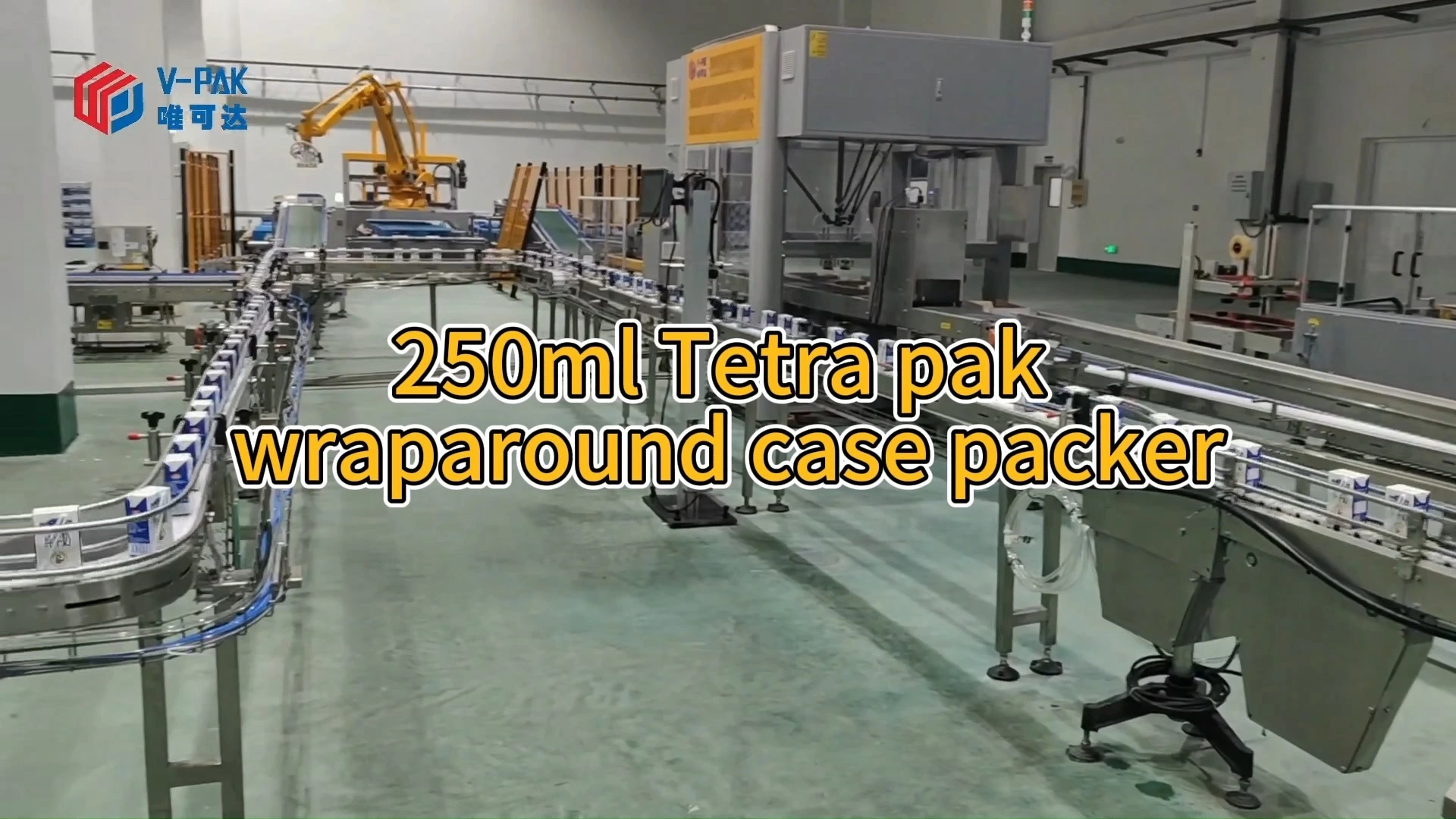 250ml Tetra Pak wraparound case packer 1