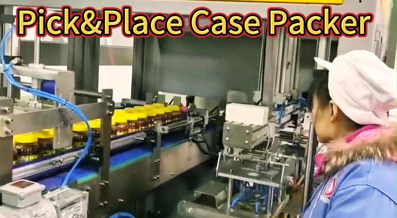 Pick&Place Case packer 1