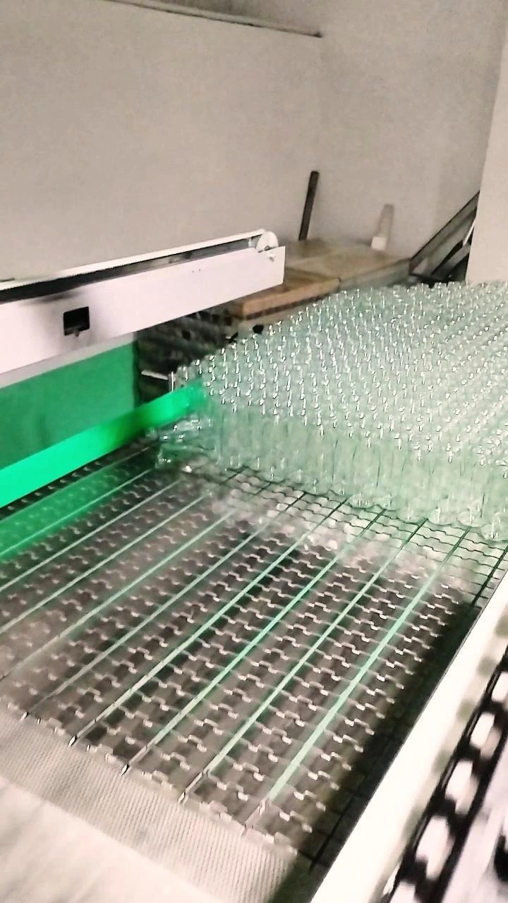 Depalletizers for depalletizing glass bottles 1