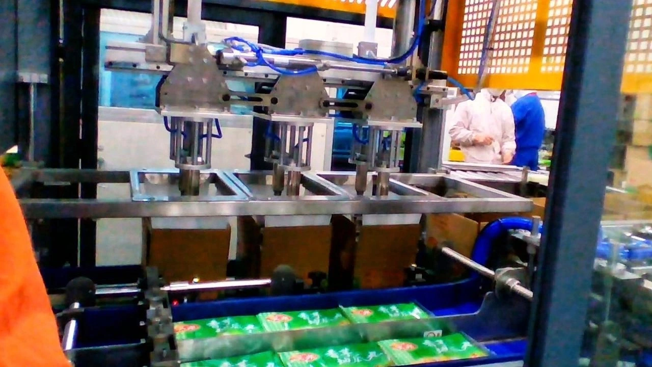 servo-controlled case packer 1