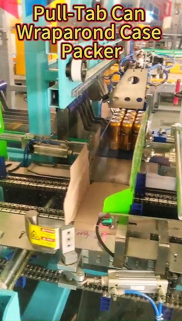Pull-Tab Can Wraparond Case Packer 1