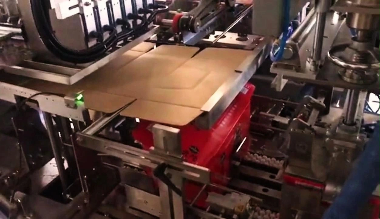 Wraparond Case Packer for Beer 1