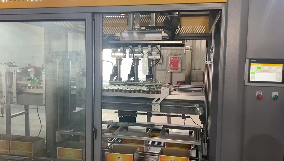 Confezionatrice automatica per barattoli di salsa chili con tracciamento automatico - WKD-CZX30A (a tripla testa) 1