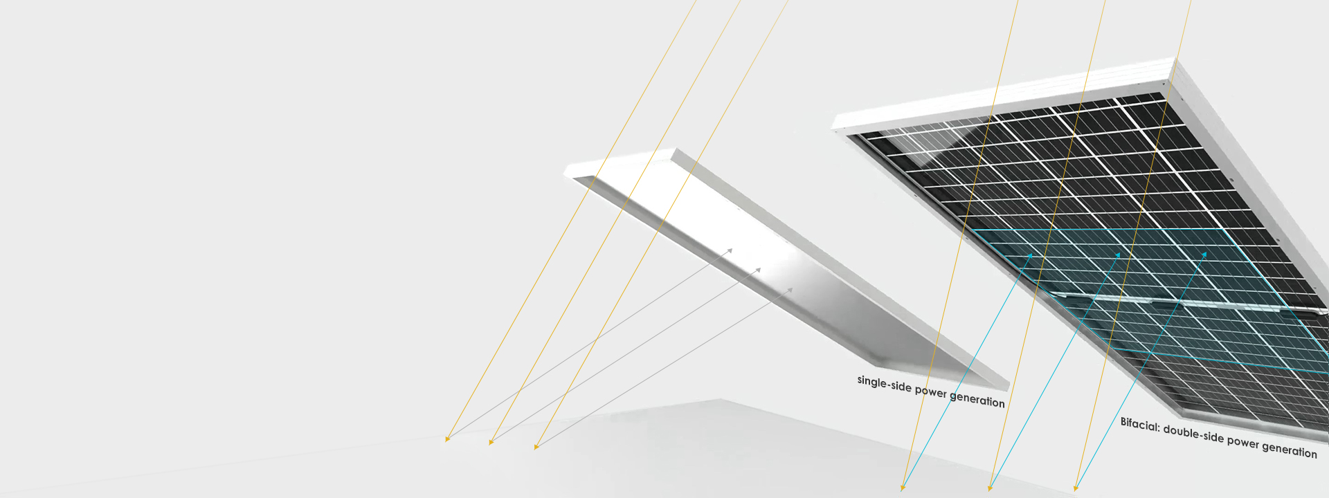 
Module bifacial avec technologie de feuille de dos transparente
 
