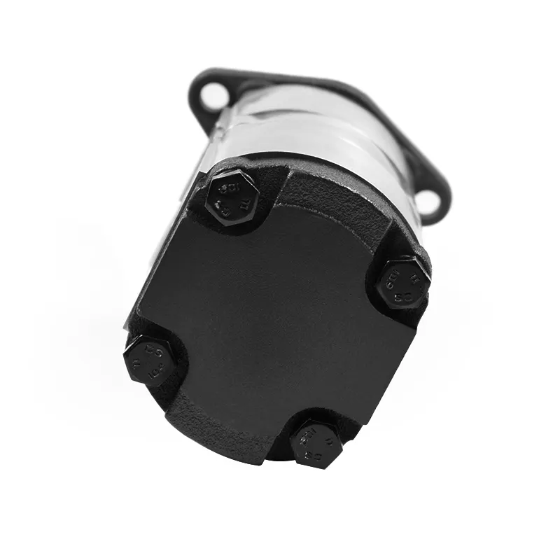 Fabricante de bombas de engrenagem hidráulicas na China - Produtos para atacado - ChangJia 3