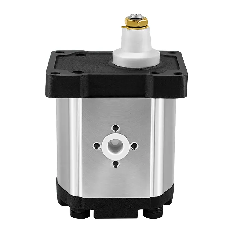 5179714 A42X Hydraulic Pump Gear Pump for FIAT Tractors 1