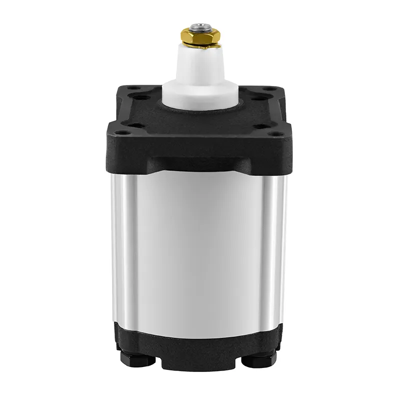 Lieferant von Hydraulikzahnradpumpen in China – Zahnradpumpen-Großhandel – ChangJia 4