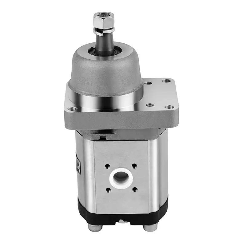 81.06650.6003 N1011005260 پمپ هیدرولیک پمپ دنده ای برای مرد سفارشی سازنده ChangJia 1