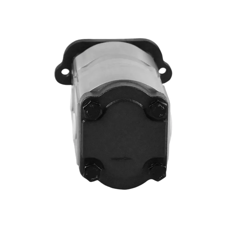 Melhor fabricante de bombas de engrenagem hidráulicas - Bombas hidráulicas por atacado - ChangJia 6