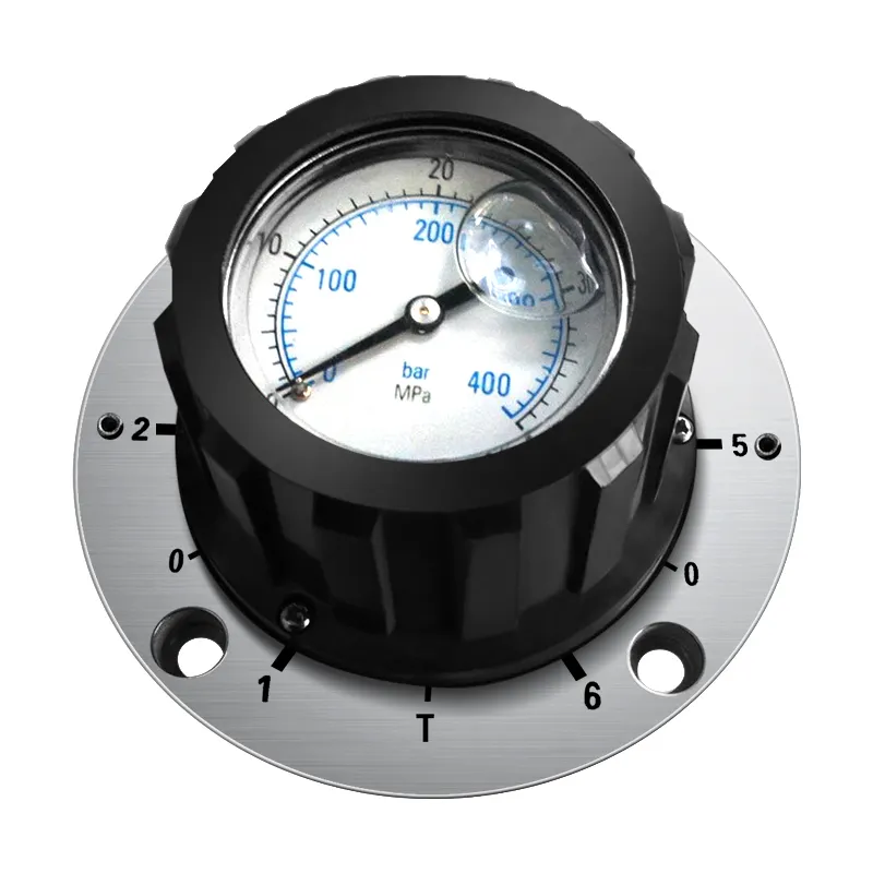 MS2A Series Multi-Circuit Pressure Gauge Isolator Valve Pressure Gauge Switch for Rexroth 1