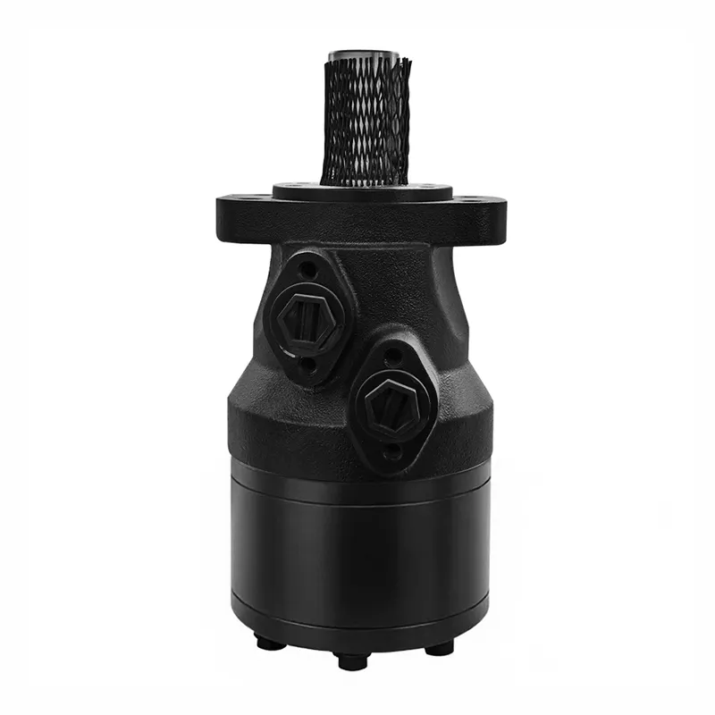 BMH Hydraulic Motor S Oil Port 1