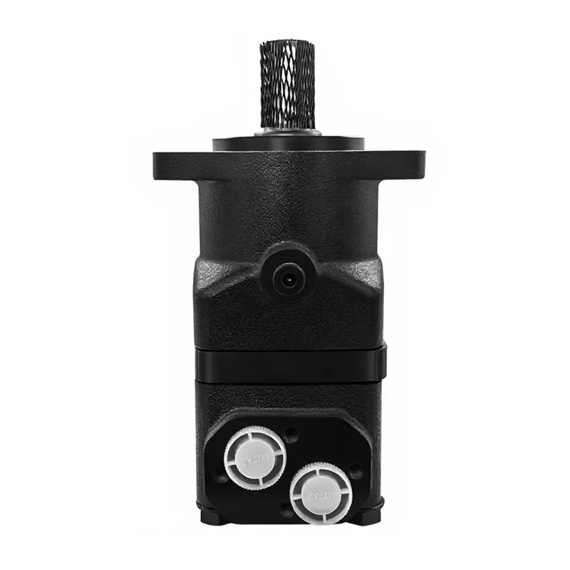 BMTZ Series Hydraulic Piston Motor 1