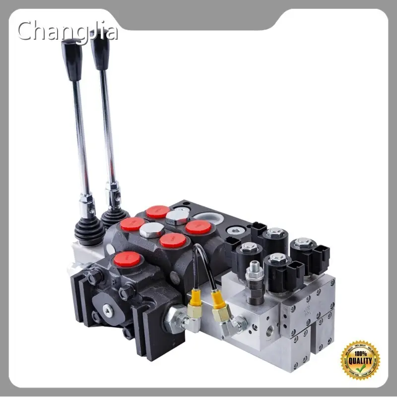 Produtos da Fábrica de Válvulas de Alívio Hidráulicas da China por Atacado - ChangJia 1