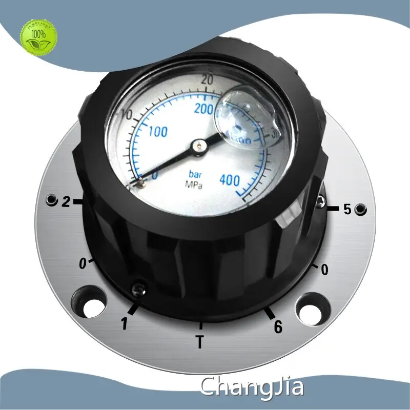 Fabricante de válvulas de flujo, venta al por mayor de productos - ChangJia 1