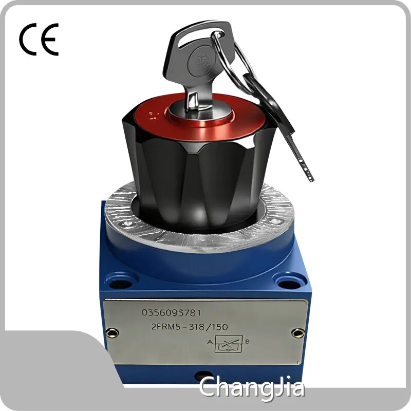 ChangJia Großhändler für hydraulische Sicherheitsventile – Hersteller 1