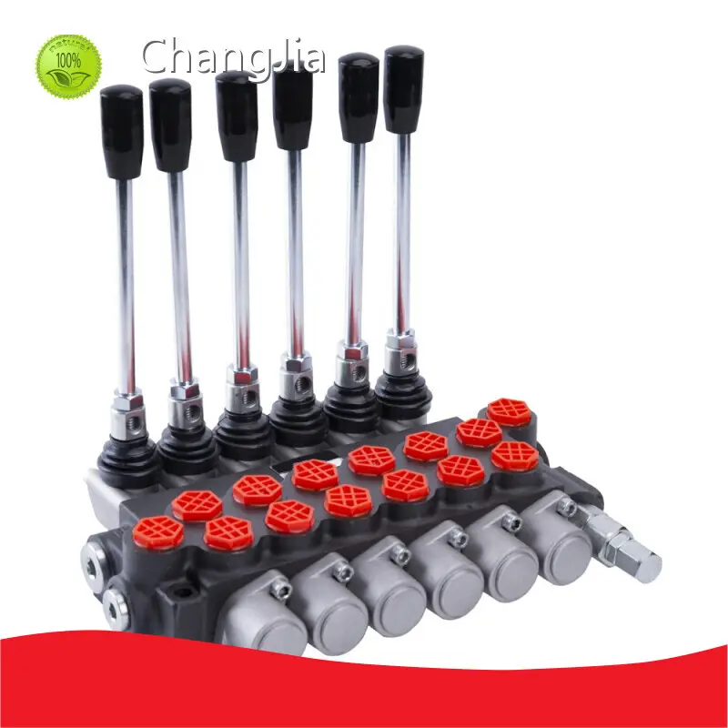 Fabricante de válvulas de alívio hidráulico, válvulas direcionais por atacado - ChangJia 1