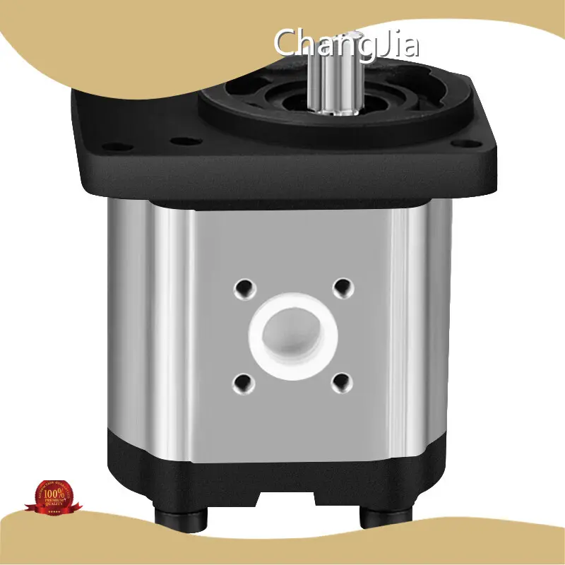 Bomba de engrenagem - Fabricante de bombas de engrenagem na China à venda 1