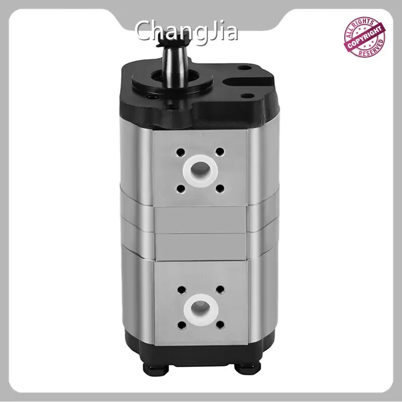 Melhor fabricante de bombas de engrenagem hidráulicas - Bombas hidráulicas por atacado - ChangJia 1