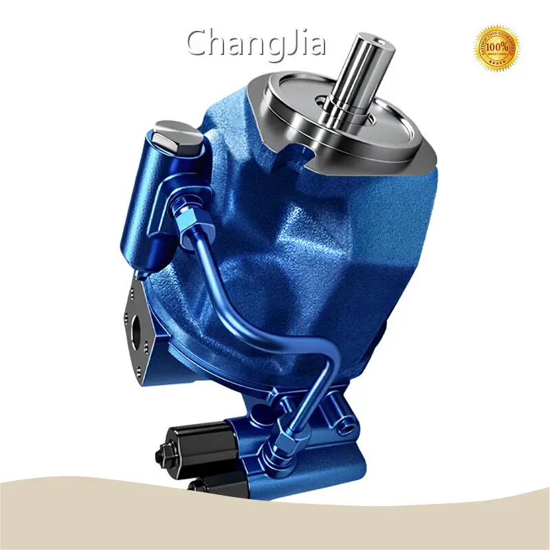 Bomba de pistón hidráulica. Venta al por mayor de bombas hidráulicas - ChangJia 1