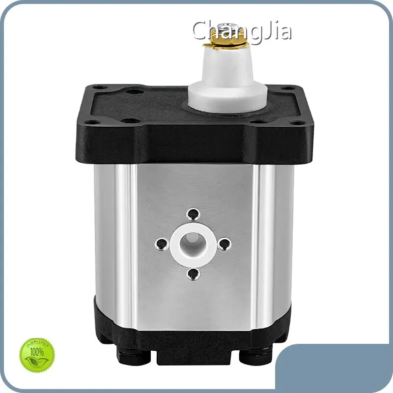 Direkt vom Hersteller (ODM) – Hochwertiger Hersteller von Hydraulikzahnradpumpen 1