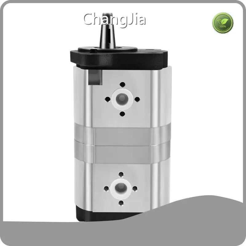 Fabricante de bombas de engrenagem hidráulicas na China - Produtos para atacado - ChangJia 1