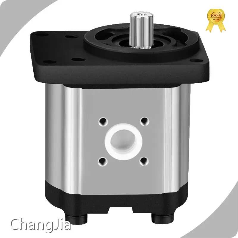 Atacadista de bombas de engrenagem na China​ por ChangJia 1