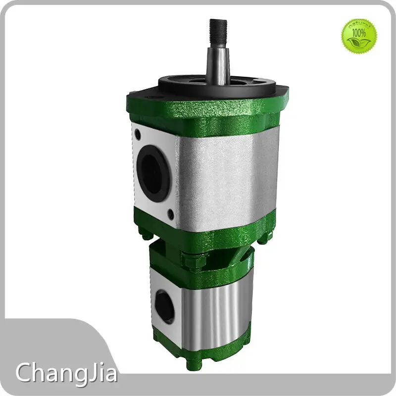 Fábrica de Bombas de Engrenagem por Atacado ChangJia 1