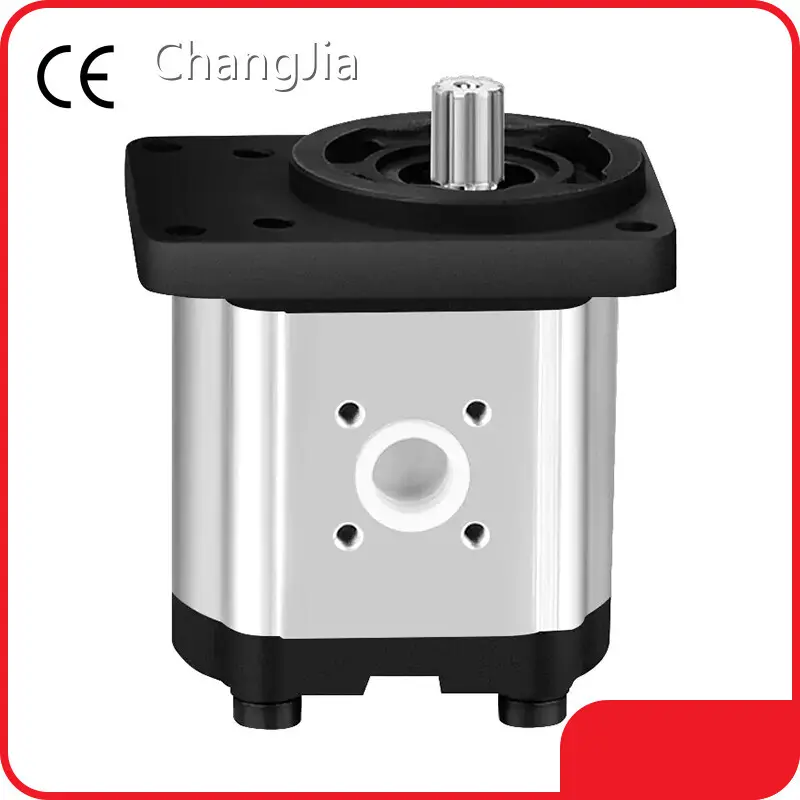 Melhor fabricante de bombas de engrenagem hidráulicas - Bombas de engrenagem por atacado - ChangJia 1