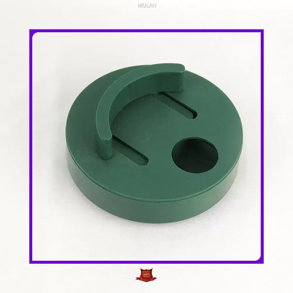 Fabricantes de piezas de moldeo por inyección personalizadas | MULAN 1