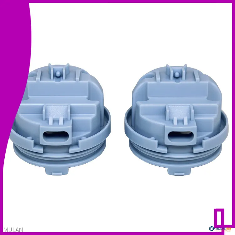 Custom industrial plastic molding solution expert Manufacturer | MULAN 1