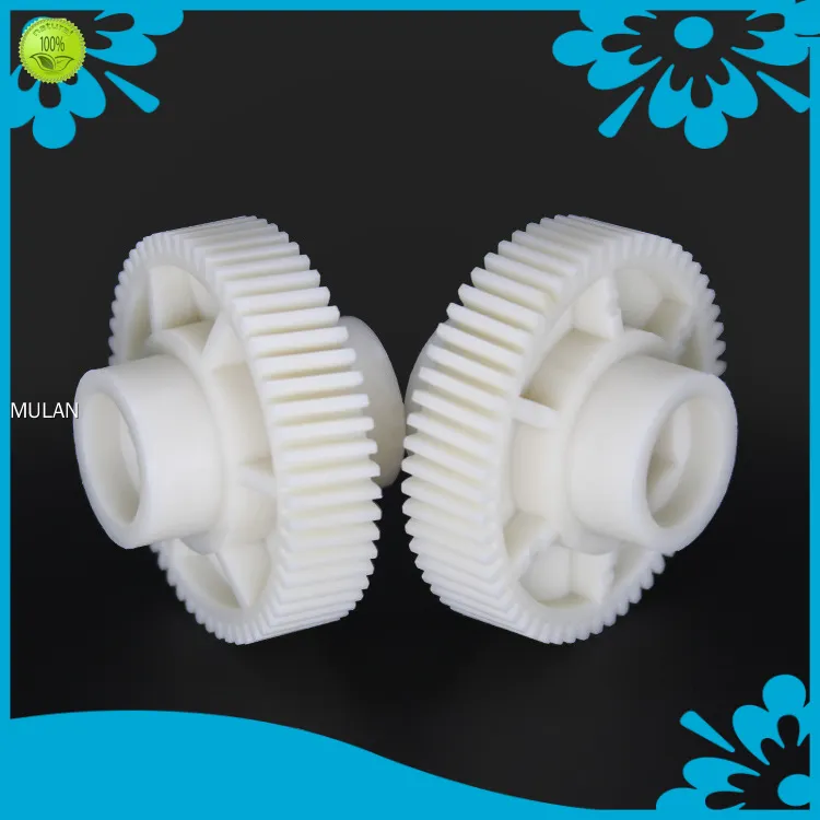 well known oem plastic molding wholesale | MULAN 1