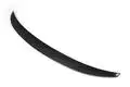 JCsportline rearview automobile spoiler manufacturers for hatchback 2