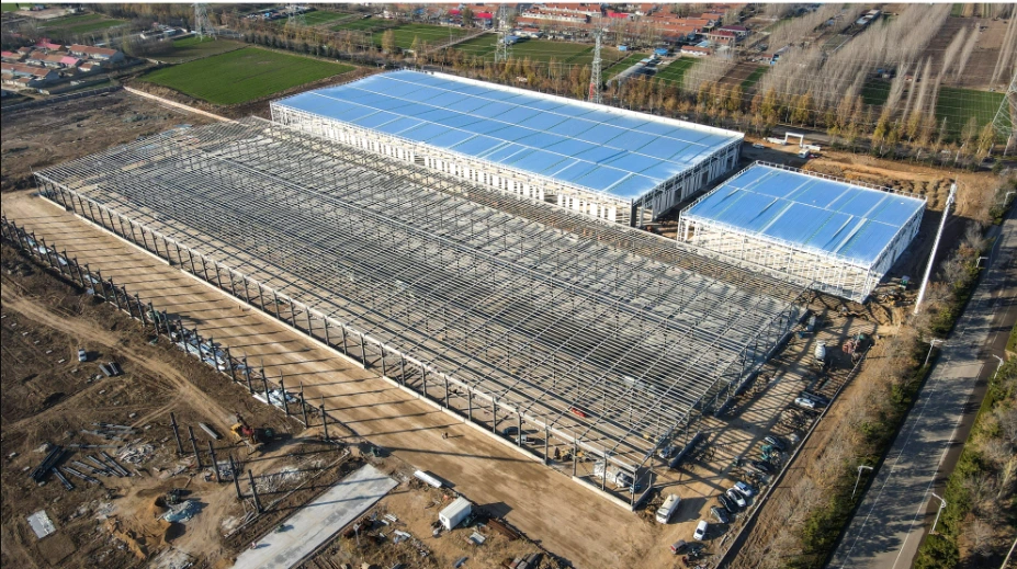 Lanjing Hot-Dip Galvanized Industrial Light Steel Structure, Wholesale Customized Steel Structure Series for Workshop 1