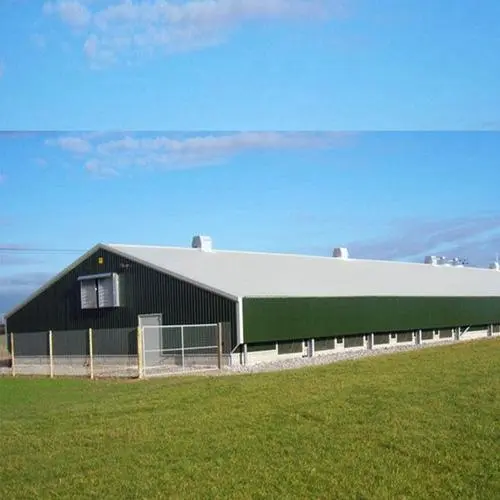 Metal Steel Structure Design Poultry Chicken Cages Coop Farm Shed Large Span 1