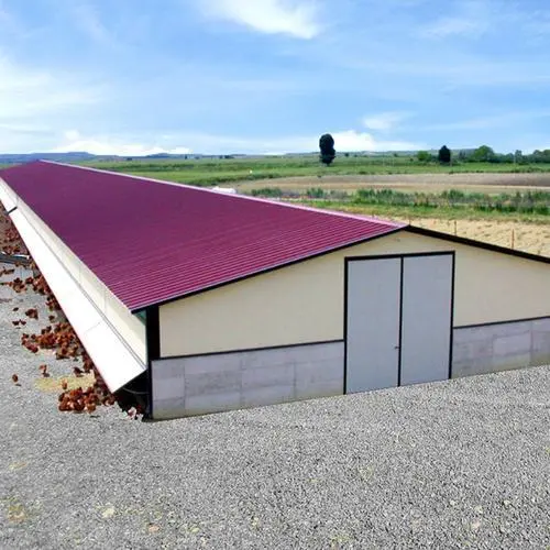Prefabricated Steel Structure Poultry Farm House Prefabricated Poultry House 1