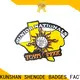 Custom soccer team pins manufacturers 1