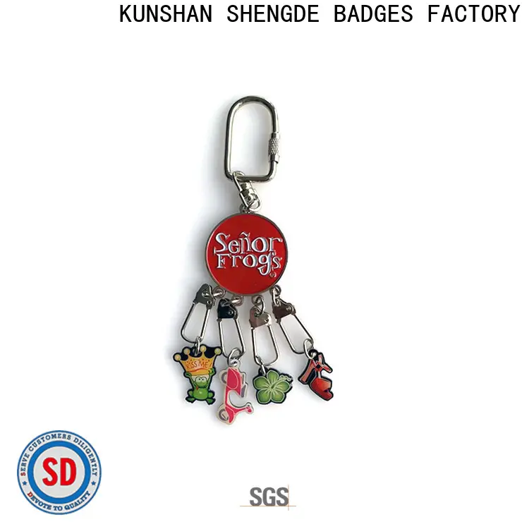 Shengde Best 3D keychains Supply for promotion 1