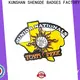 Shengde soccer trading pins manufacturers bulk production 1