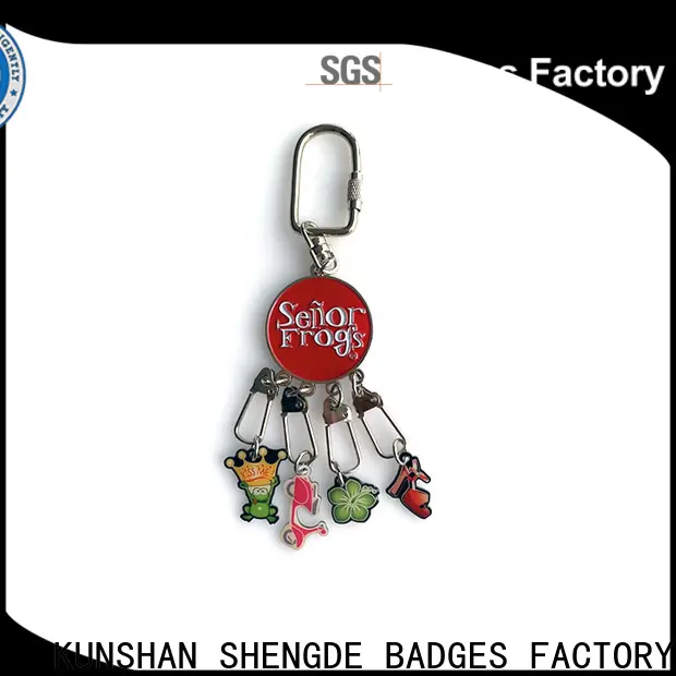 Shengde Top custom made keyrings manufacturers for promotion 1