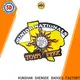 Shengde soccer pins company for promotion 1