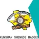 Shengde Shengde soccer tournament pins manufacturers on sale 1