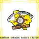 Shengde Latest custom soccer pins company 1